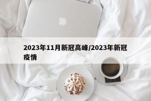 2023年11月新冠高峰/2023年新冠疫情
