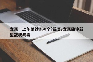 宜宾一上午确诊250个?谣言/宜宾确诊新型冠状病毒