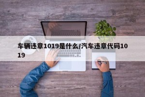车辆违章1019是什么/汽车违章代码1019