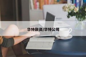华特融资/华特公司